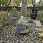 Photo taken by Julie G