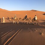 Photo taken by Tiffany M