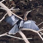 Photo taken by Bonnie Y