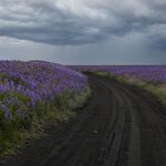 Photo taken by Kim C