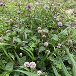 Photo taken by yancey A