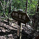 Marker | Photo taken by Joost S