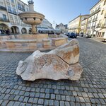 Photo taken by Mollie D