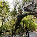 Photo taken by Kayla H