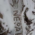 Photo taken by Amy S