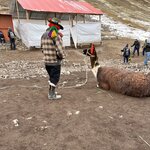 Photo taken by Melanie M