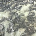 Photo taken by Alfredo H