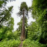 Photo taken by Brett T