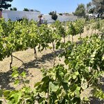 Photo taken by Felice Z