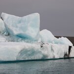 Photo taken by Amanda Z