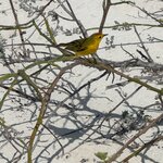 Photo taken by Thomas L