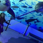 Fun at the Whale Museum | Photo taken by Shannon C