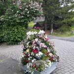 Photo taken by Denise H