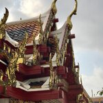 Photo taken by Shaula L