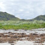 Photo taken by paolo c