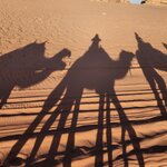 Photo taken by Wendy Q