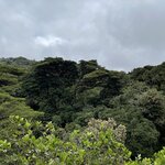 Photo taken by Hannah S