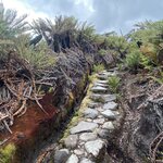 Photo taken by Carine D