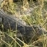 Photo taken by Paul B