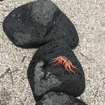 Photo taken by mimi s