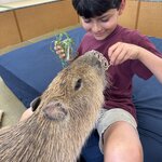 Photo taken by Andrea C