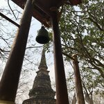 Photo taken by Shaula L