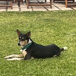 Photo taken by Cynthia C