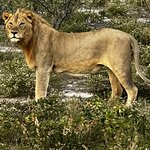 Photo taken by Peter L