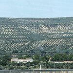 Photo taken by Tom K