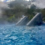 Photo taken by Tara O