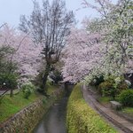 Photo taken by Hector R