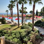 Photo taken by Wayne Z