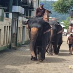 Photo taken by Tanya G