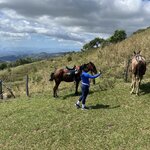 Photo taken by Barb S