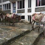 Photo taken by Joanna K