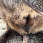 Photo taken by Rosemary S