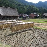 Photo taken by Jason P