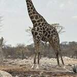 Photo taken by Nigel R