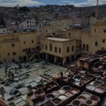 Photo taken by Lisa R