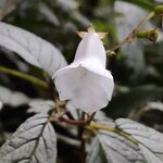 Photo taken by Mordechay T