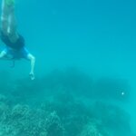 Photo taken by Cindy H