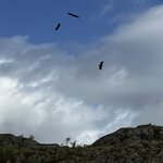 Photo taken by Jared B