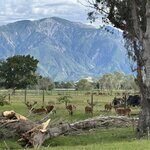 Photo taken by Jessee H