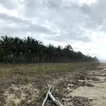 Photo taken by Sophie E