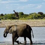 Photo taken by Peter L