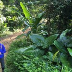 Photo taken by Rob C