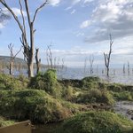 Photo taken by Virginia H