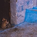 Photo taken by Kassie R