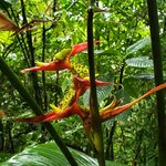 Photo taken by Susan D