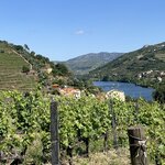 Photo taken by Patricia F